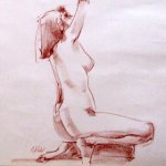 Dessin - étude du corps humain niveau 1