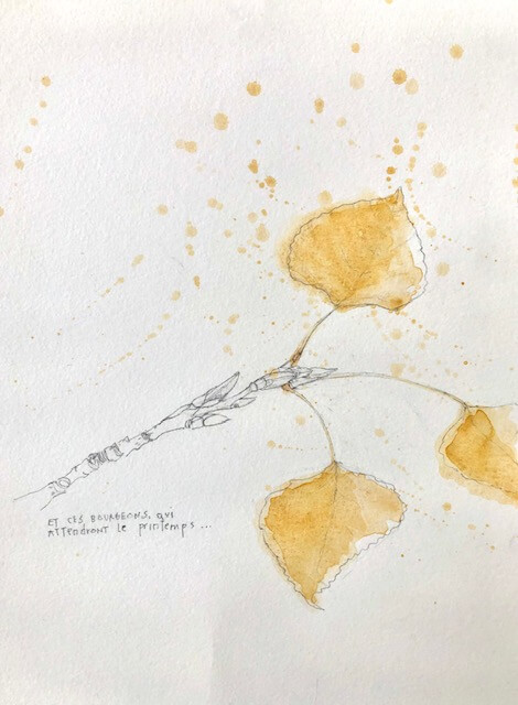 Dessin et présence – Image 14