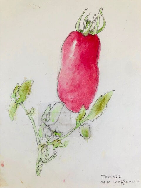 Dessin et présence – Image 8