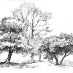 Premiers pas en dessin